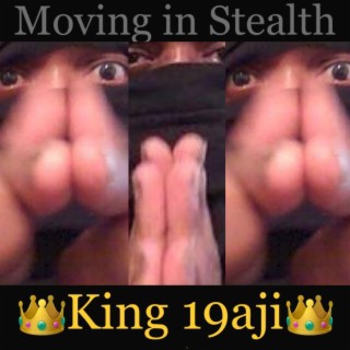 Moving in Stealth