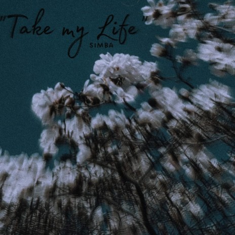 Take My Life | Boomplay Music