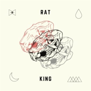 Rat King