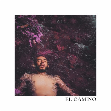 El Camino | Boomplay Music