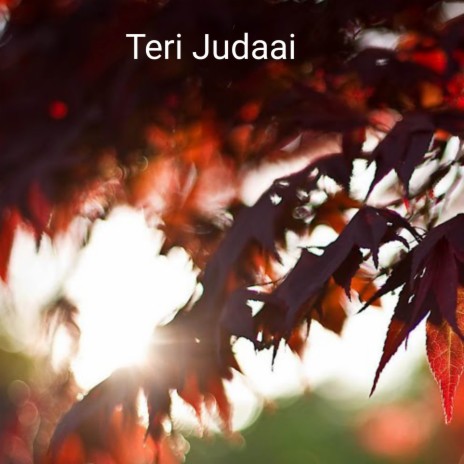 Teri Judaai | Boomplay Music