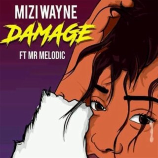 Damage (feat. Mr.Melodic)