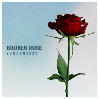 Broken rose