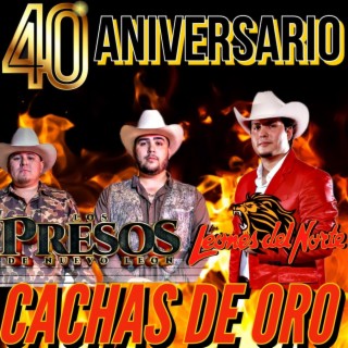 Cachas De Oro (40 Aniversario)