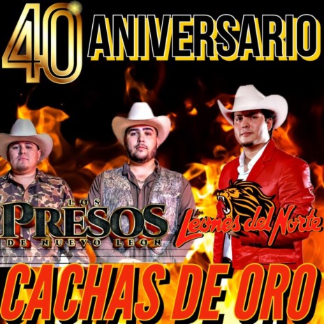 Cachas De Oro (40 Aniversario) ft. Los Presos De Nuevo Leon | Boomplay Music
