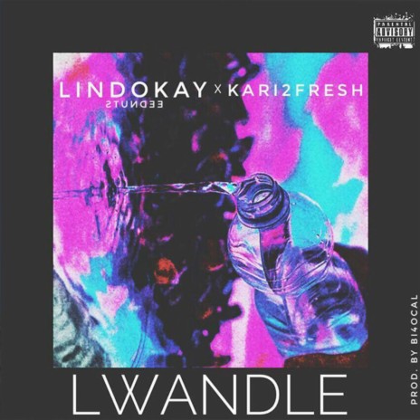 Lwandle ft. Tumi Soweto | Boomplay Music