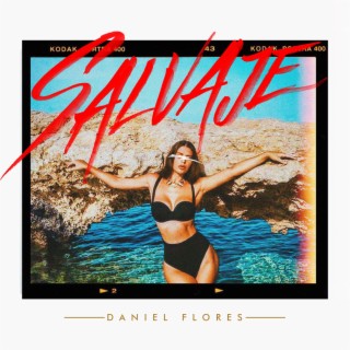 Salvaje lyrics | Boomplay Music