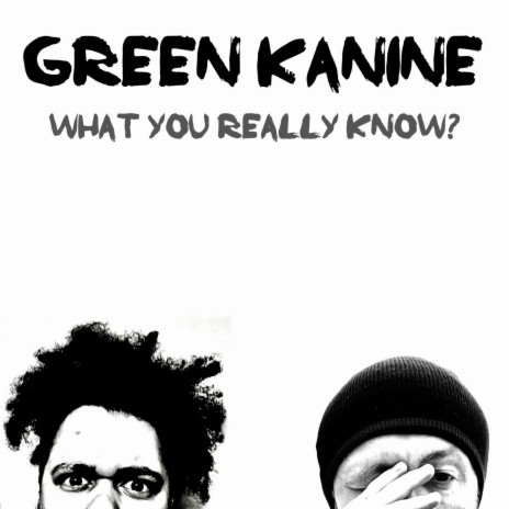 What You Really Know (Radio Edit) ft. Kanine & Jimmy Green | Boomplay Music