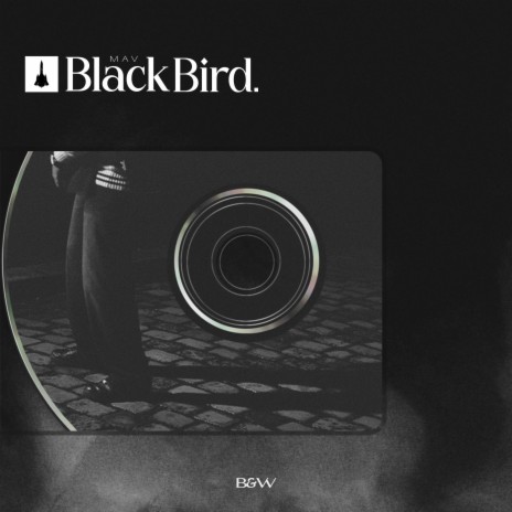 BlackBird | B&W