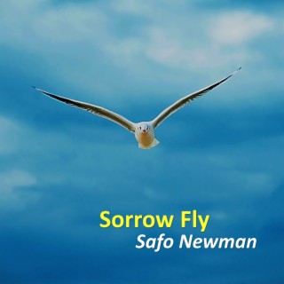 Sorrow Fly lyrics | Boomplay Music