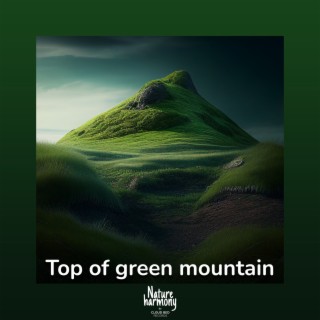 Top of green mountain