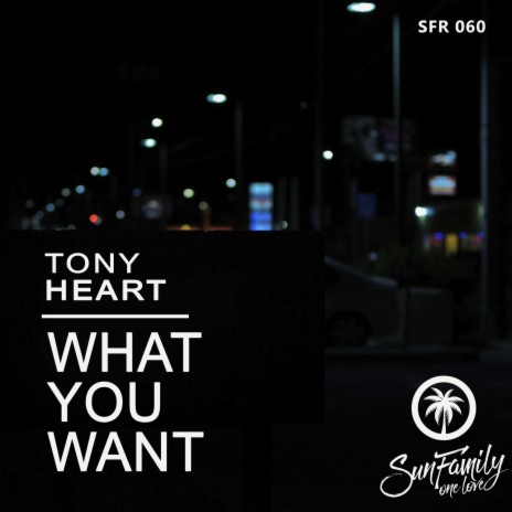 What you Want | Boomplay Music