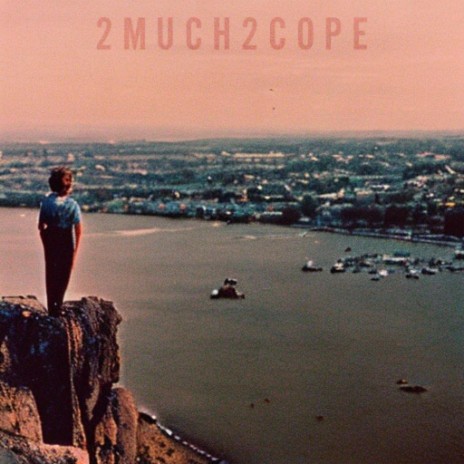2Much2Cope ft. McHale | Boomplay Music