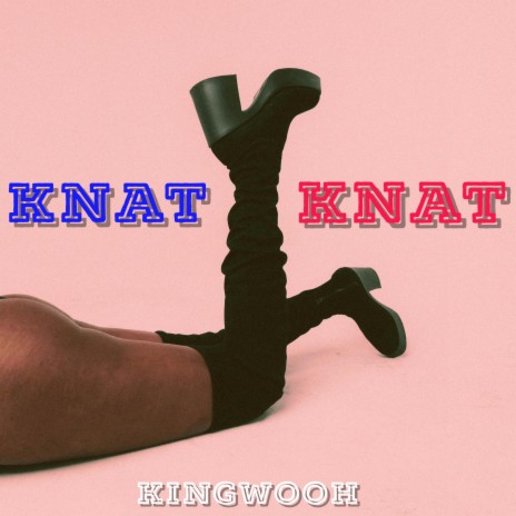 Knat Knat ft. B2Deep | Boomplay Music