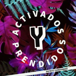 Activados Y Prendidos