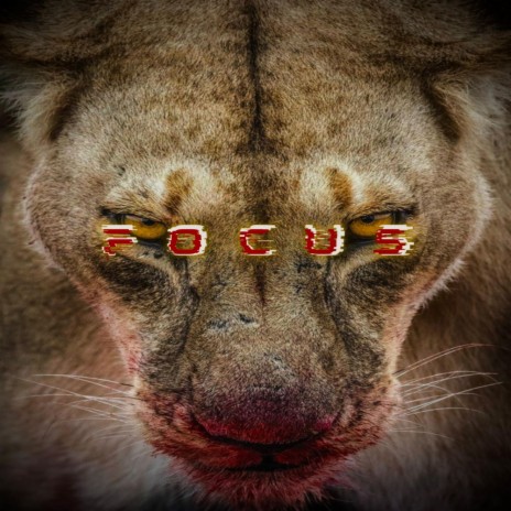 FOCUS | Boomplay Music