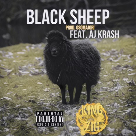 Black Sheep ft. AJ Krash | Boomplay Music