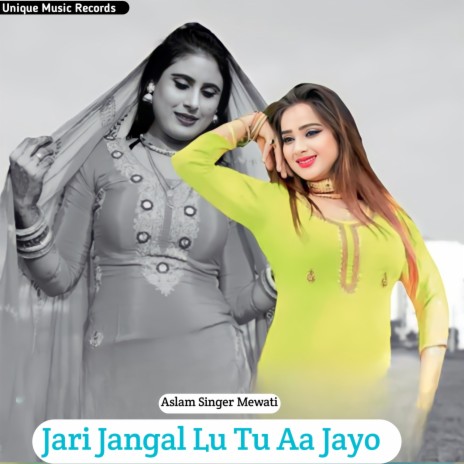 Jari Jangal Lu Tu Aa Jayo | Boomplay Music