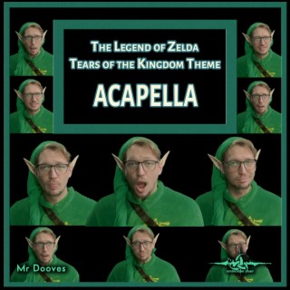 Tears of the Kingdom Theme (From The Legend of Zelda) (Acapella)