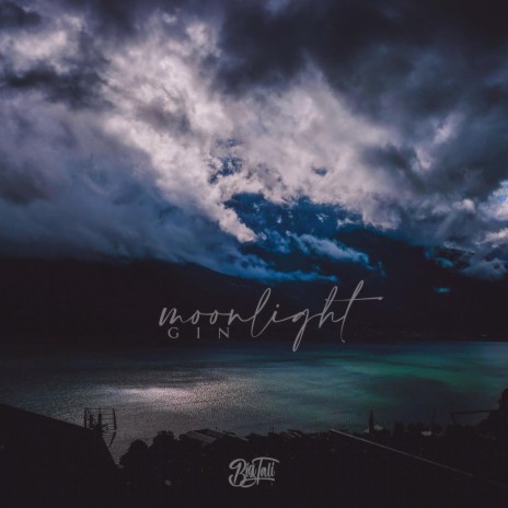 Moonlight (Gin) | Boomplay Music