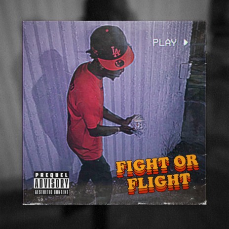 Fight Or Flight | Boomplay Music