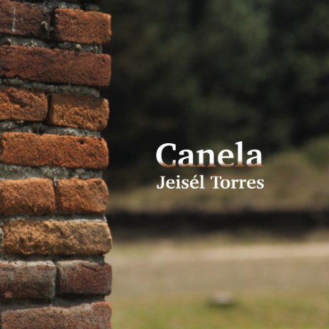 Canela | Boomplay Music