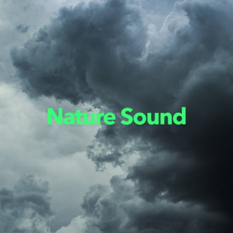 White Noise Long | Boomplay Music