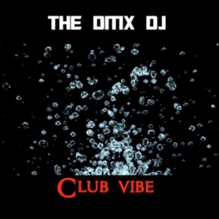 The DMX DJ