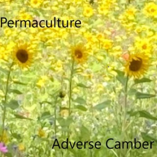 Permaculture