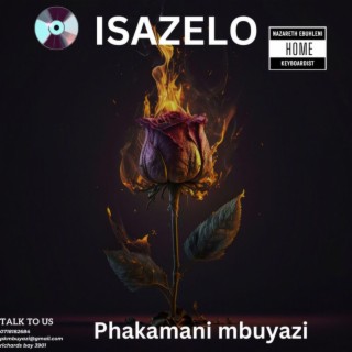 ISAZELO SINGISHIYE NGEDWA (Radio Edit)