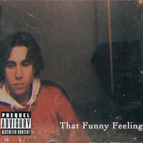 That Funny Feeling | Boomplay Music