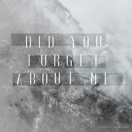 Did You Forget About Me | Boomplay Music