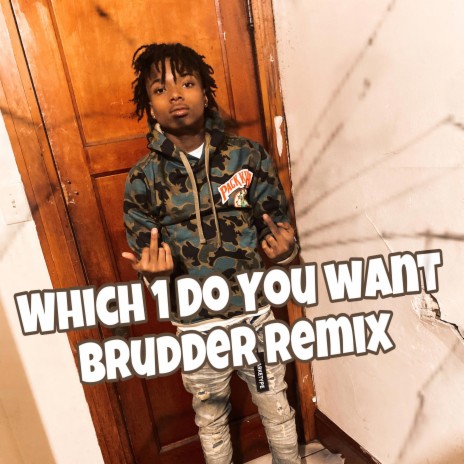 Which 1 Do You Want Brudder | Boomplay Music