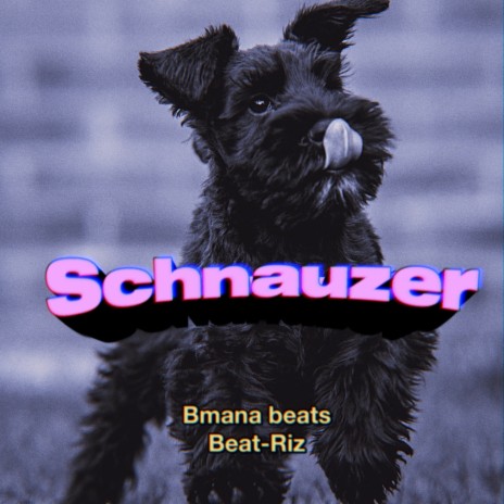 Schnauzer ft. Bmana Beats | Boomplay Music