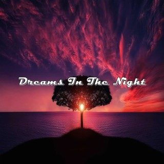 Dreams In The Night