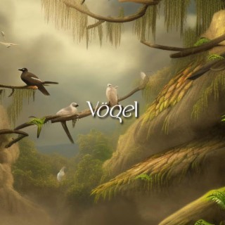 Vögel lyrics | Boomplay Music