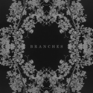 Branches