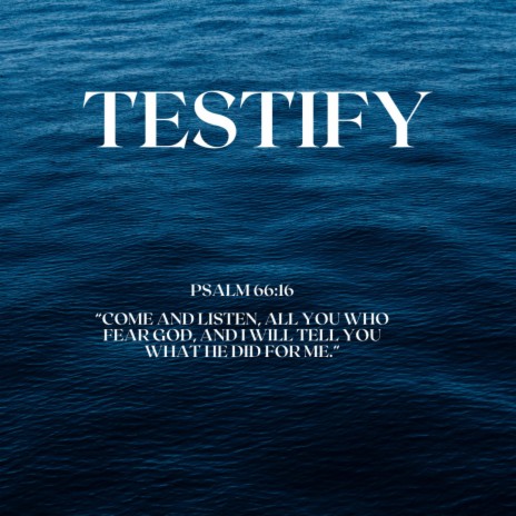 Testify | Boomplay Music