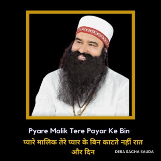 Pyare Malik Tere Payar Ke Bin