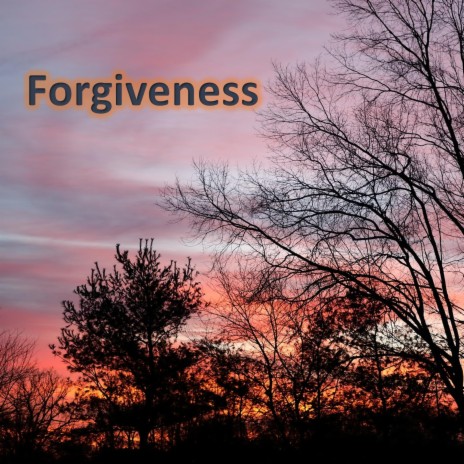 Forgiveness | Boomplay Music
