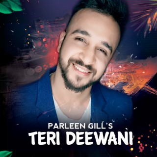 Teri Deewani