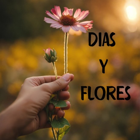 Dias y Flores ft. Julio Miguel | Boomplay Music