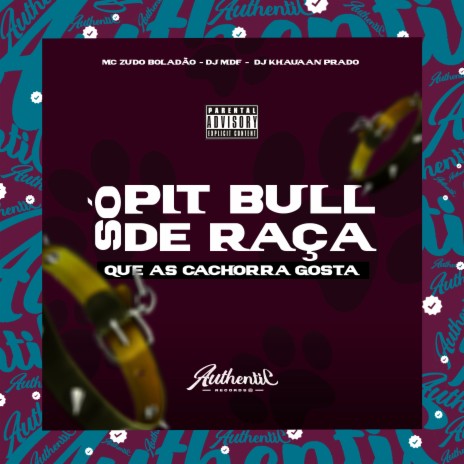 Só Pitbull de Raça Que as Cachorra Gosta ft. Dj Khauaan Prado & MC ZUDO BOLADÃO | Boomplay Music