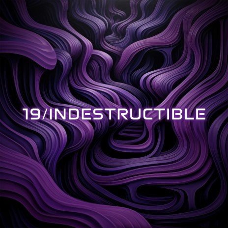 19/Indestructible | Boomplay Music