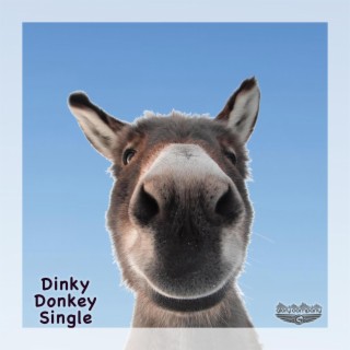 Dinky Donkey lyrics | Boomplay Music