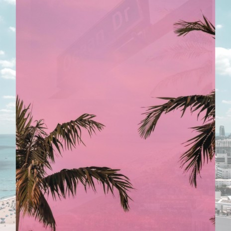 With Me In Miami | Boomplay Music