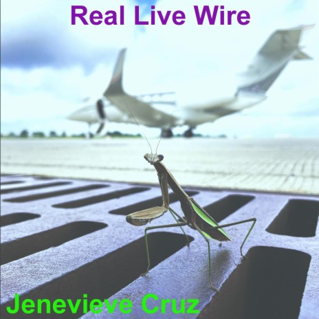 Real Live Wire (Live)