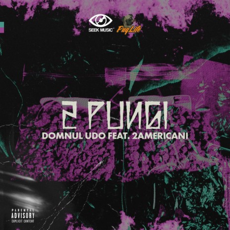 2 Pungi (feat. 2americani)