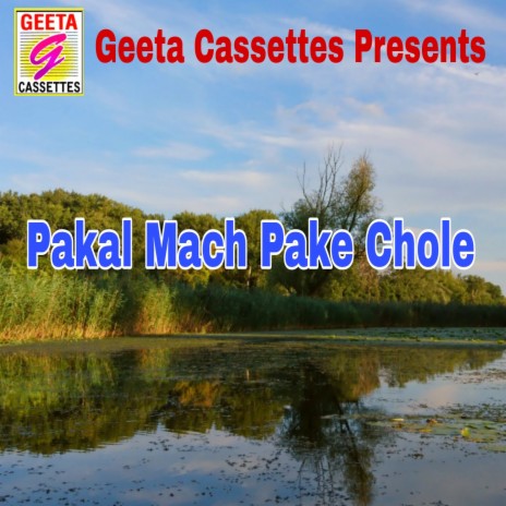 Pakal Mach Pake Chole | Boomplay Music