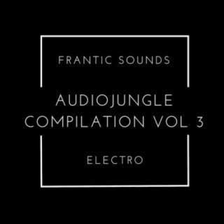 Frantic Sounds Electro